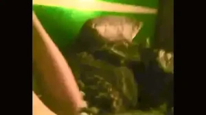 De perrito