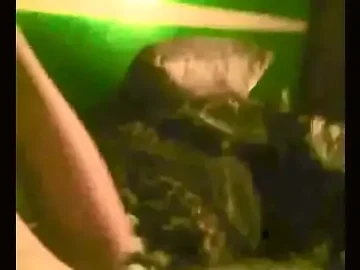 de perrito 1733438977